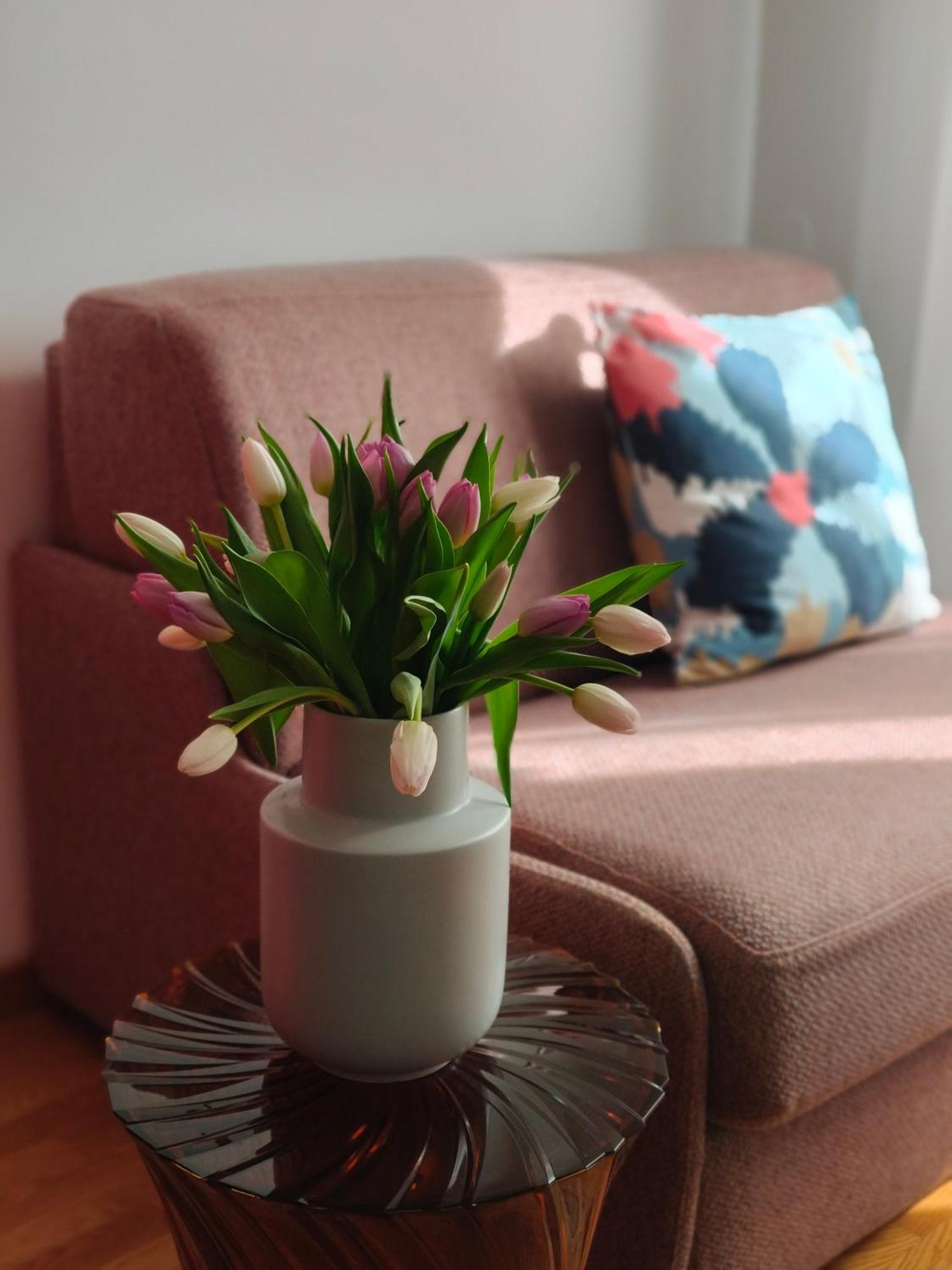 Fluere - Via Riva Reno Apartment Bologna Ngoại thất bức ảnh