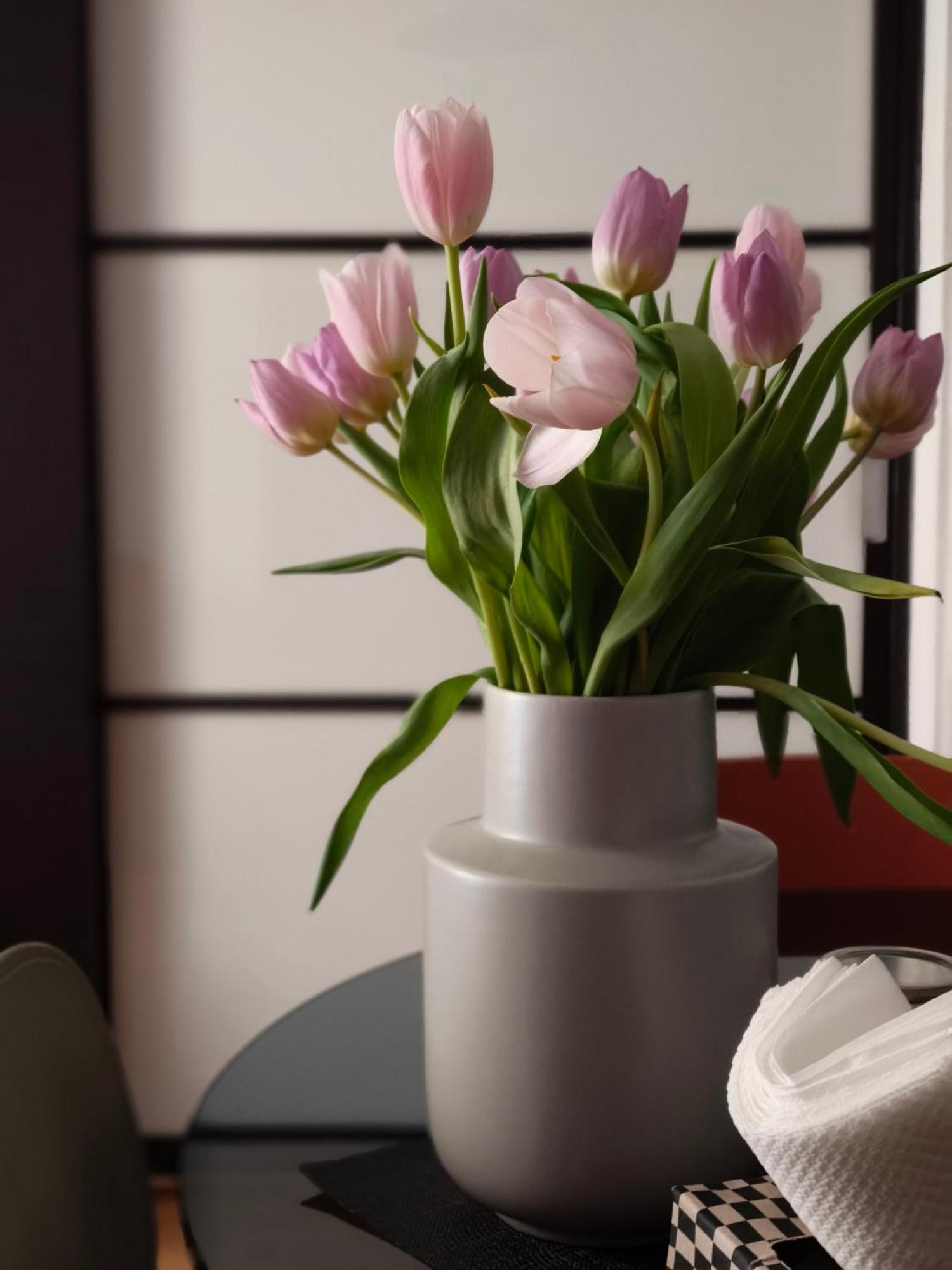 Fluere - Via Riva Reno Apartment Bologna Ngoại thất bức ảnh